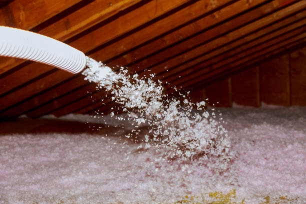 Best Cellulose Insulation  in Silver Firs, WA